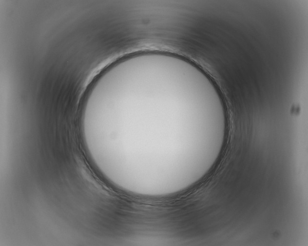 X0000111050488200906251123