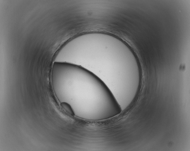 X0000111050489200906251123