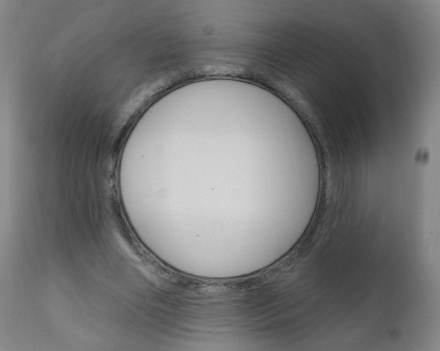 X0000111050490200906251123