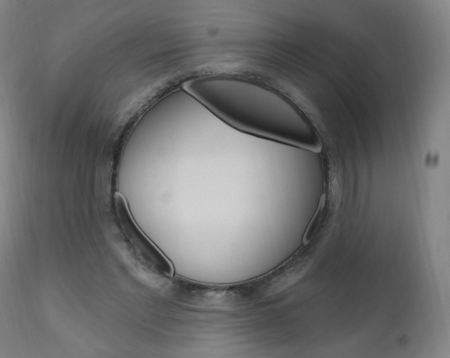 X0000111050493200906251123