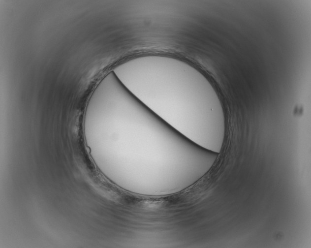 X0000111050495200906251123