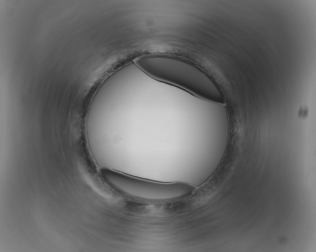 X0000111050496200906251123