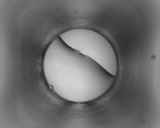 X0000111050497200906251123