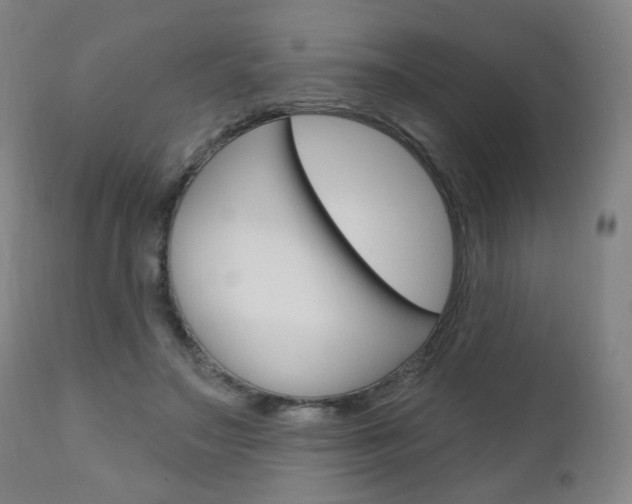 X0000111050499200906251123