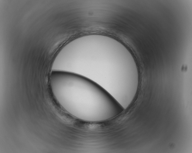 X0000111050501200906251123