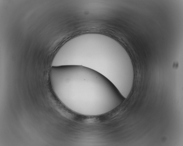 X0000111050505200906251123