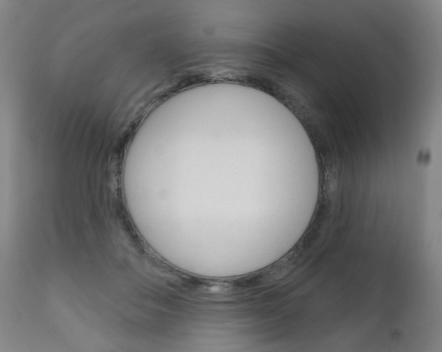 X0000111050506200906251123