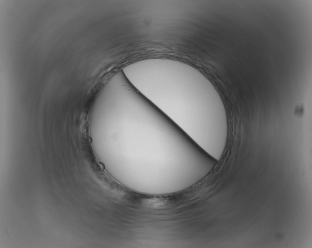 X0000111050511200906251123