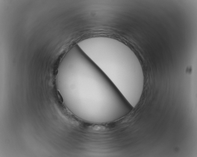 X0000111050512200906251123