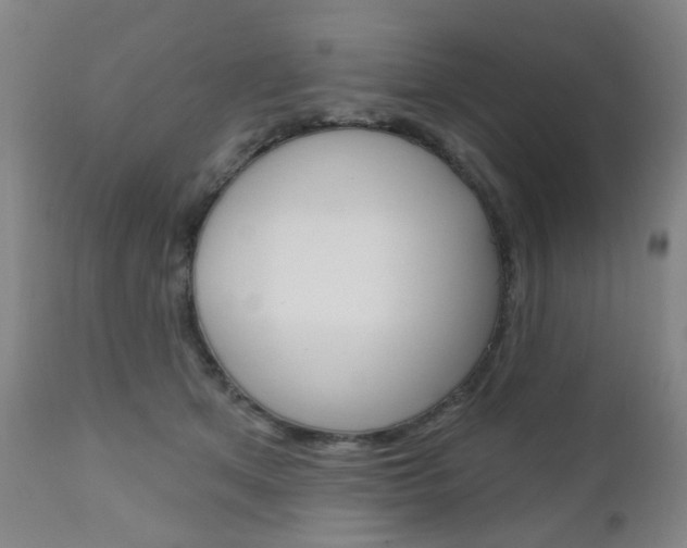 X0000111050513200906251123