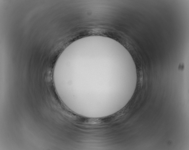 X0000111050514200906251123