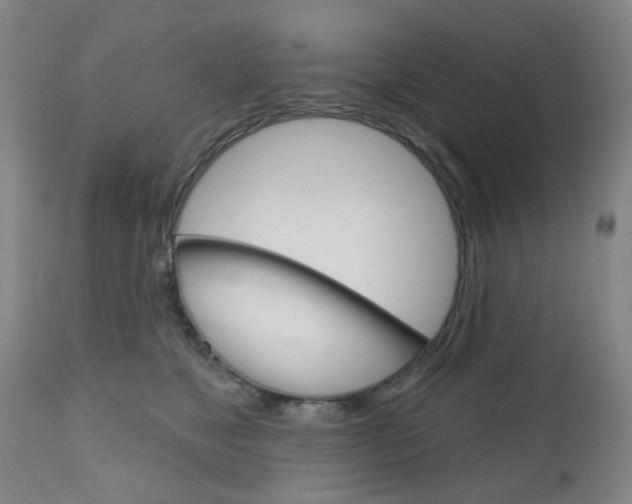 X0000111050517200906251123