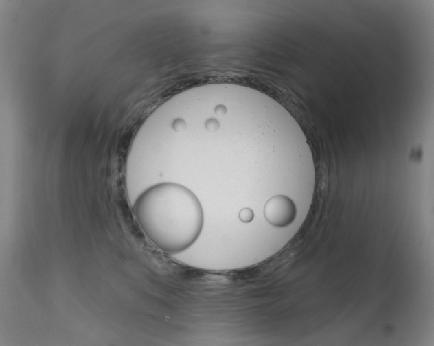 X0000111050519200906251123