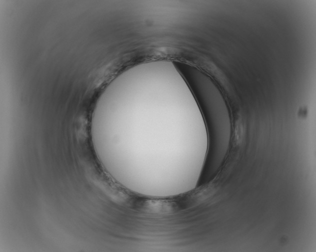X0000111050520200906251123