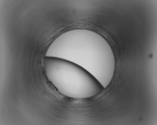 X0000111050521200906251123