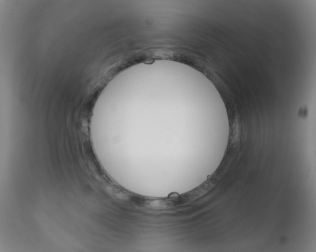X0000111050522200906251123