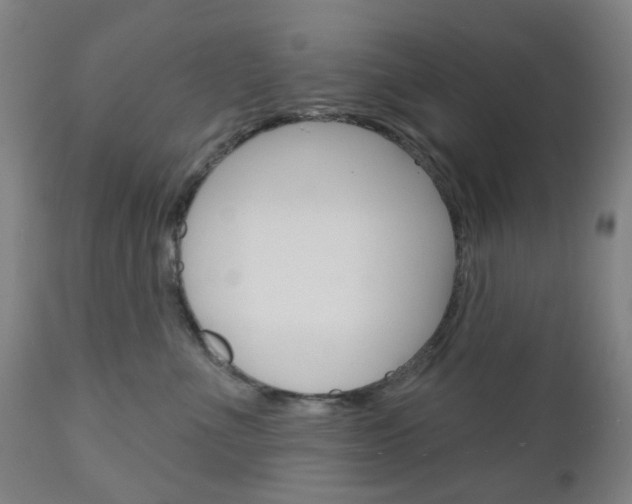 X0000111050523200906251123