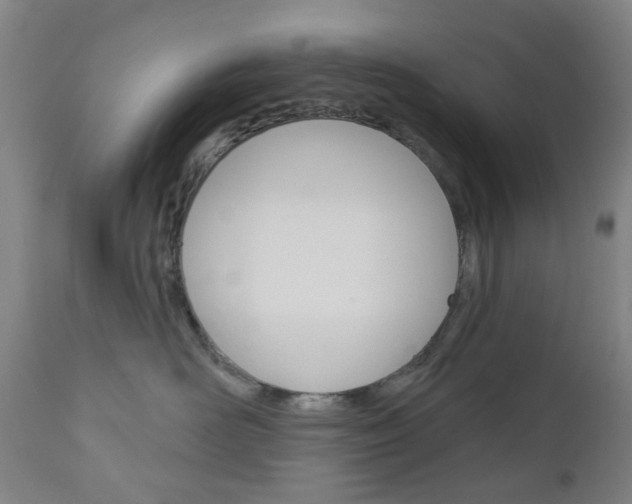 X0000111050526200906251123