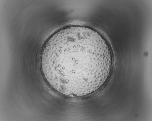 X0000111050529200906251122