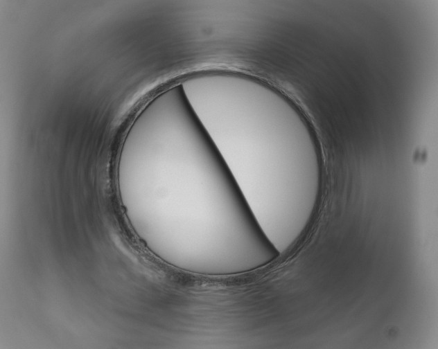 X0000111050531200906251122