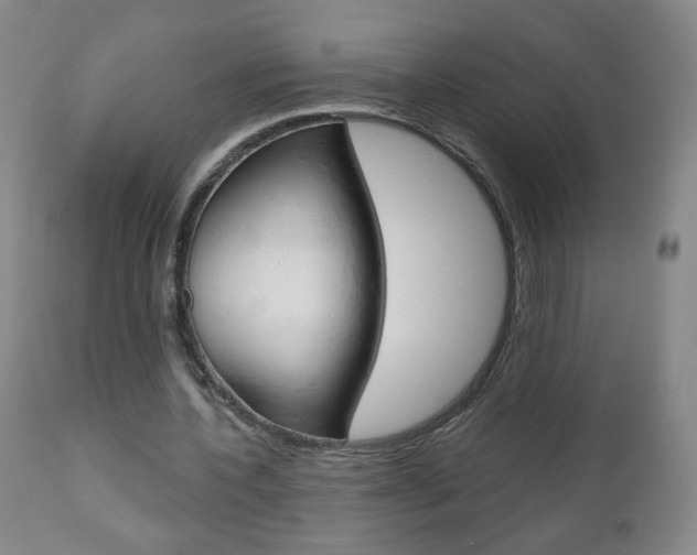 X0000111050532200906251122