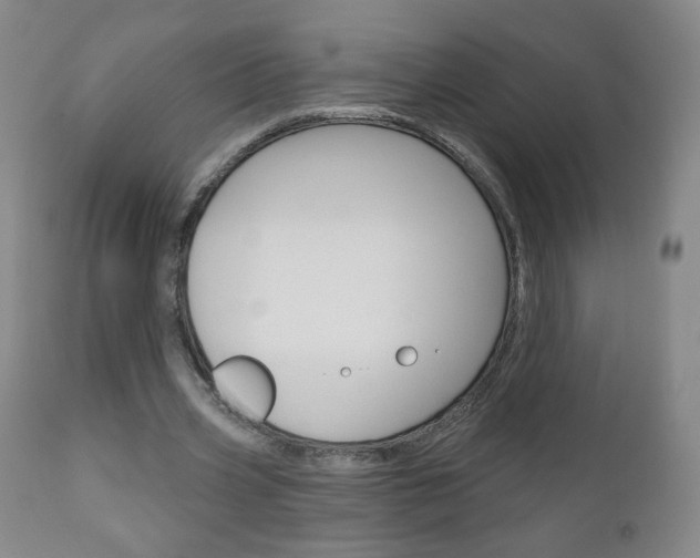 X0000111050533200906251122