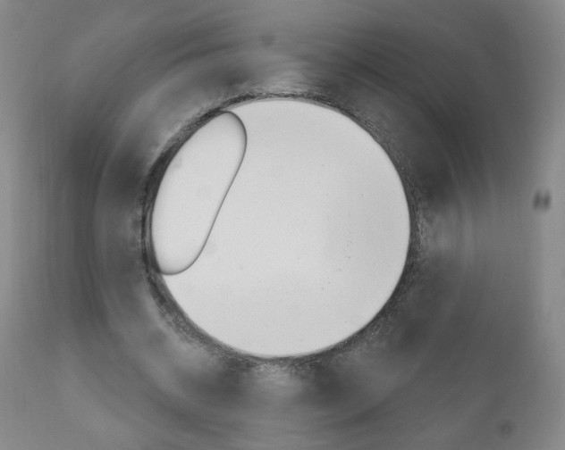 X0000111050534200906251122