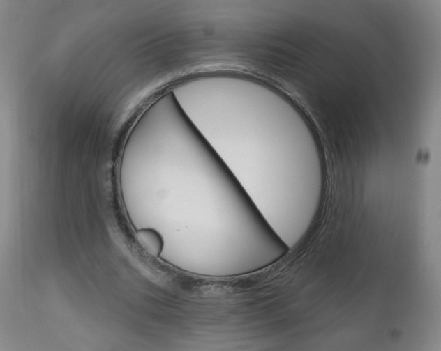 X0000111050535200906251122
