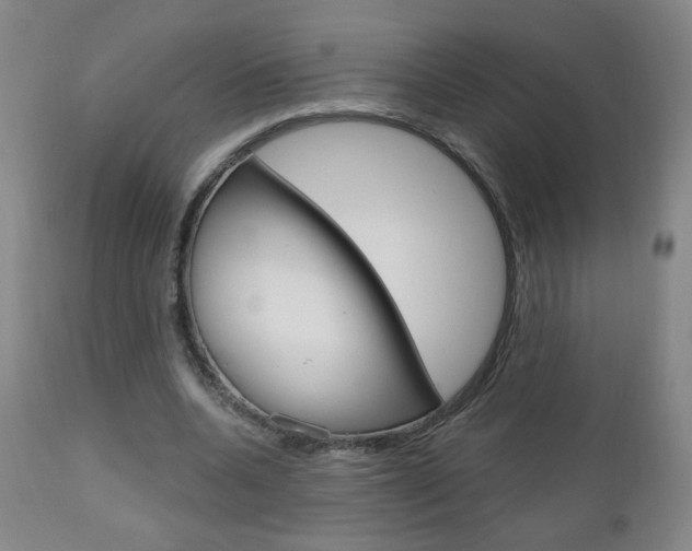 X0000111050536200906251122