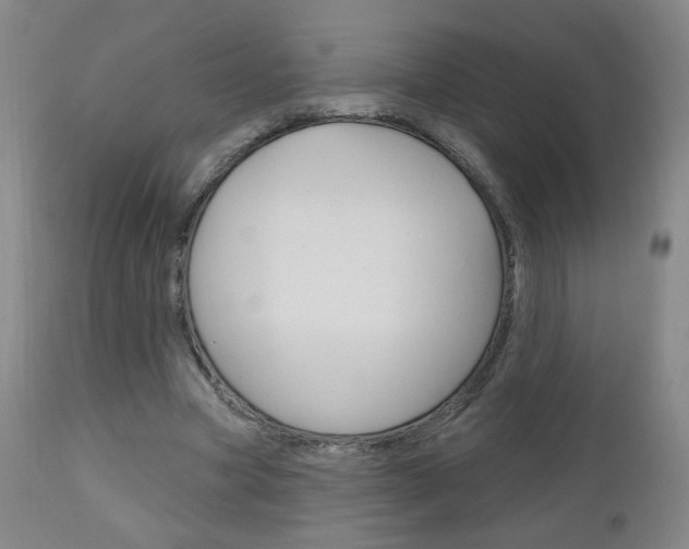 X0000111050537200906251122