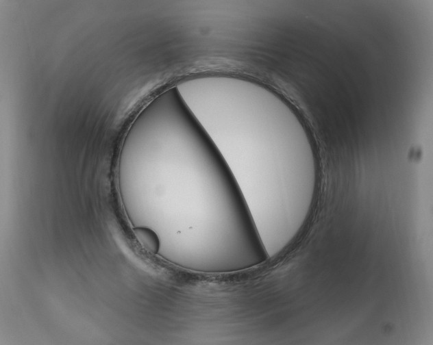 X0000111050538200906251122