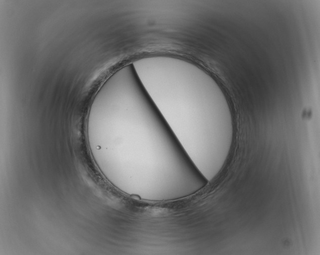X0000111050539200906251122