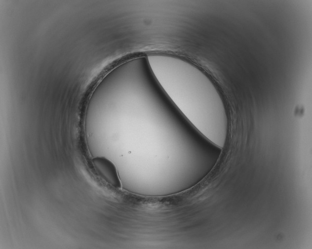 X0000111050540200906251122