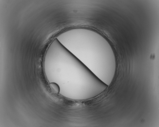 X0000111050543200906251122