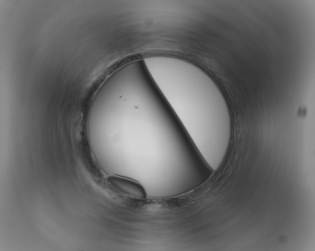 X0000111050544200906251122