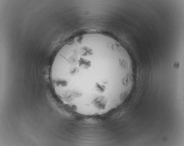 X0000111050545200906251122