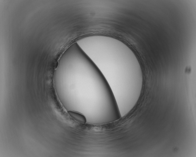 X0000111050546200906251122