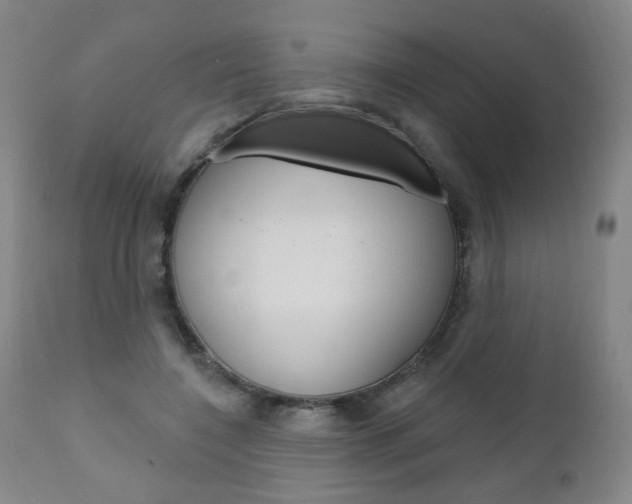 X0000111050548200906251122