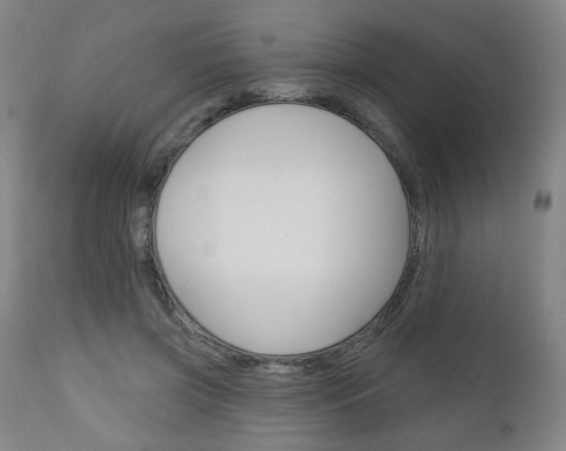 X0000111050549200906251122