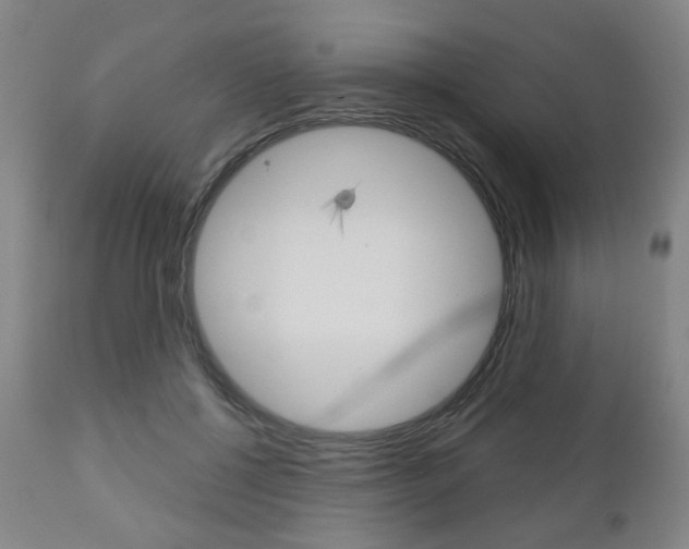 X0000111050552200906251122