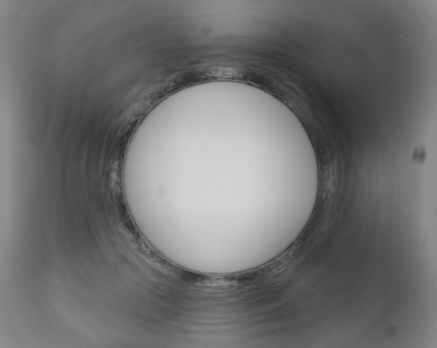 X0000111050553200906251122