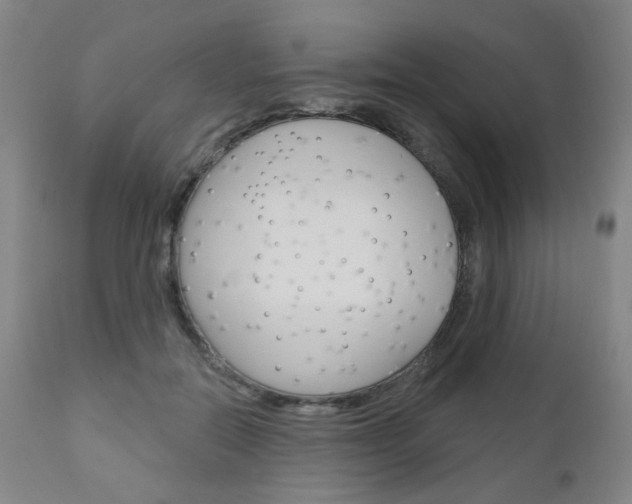 X0000111050554200906251122