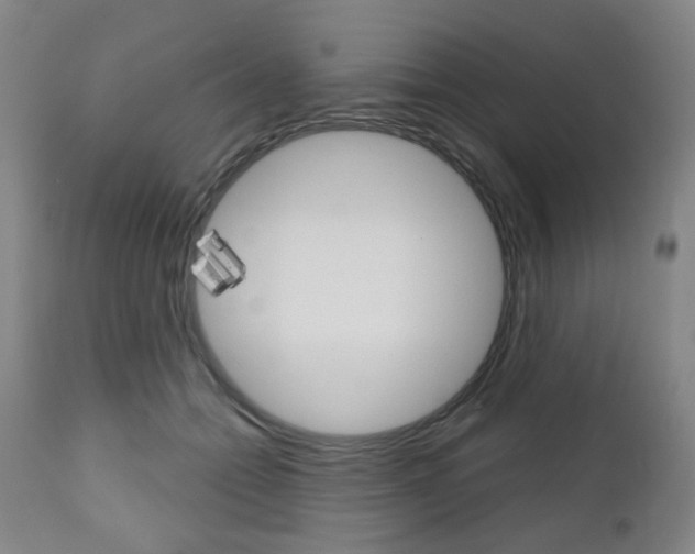 X0000111050558200906251122