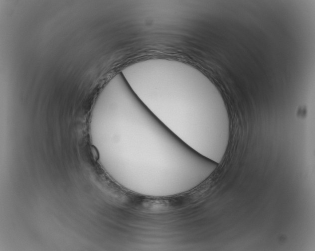 X0000111050559200906251122