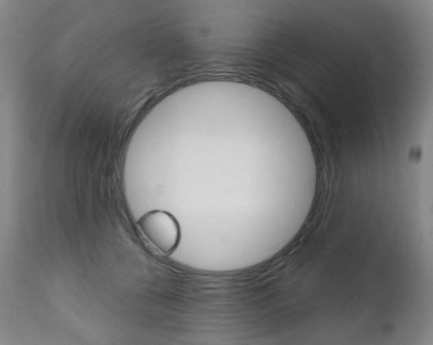 X0000111050560200906251122