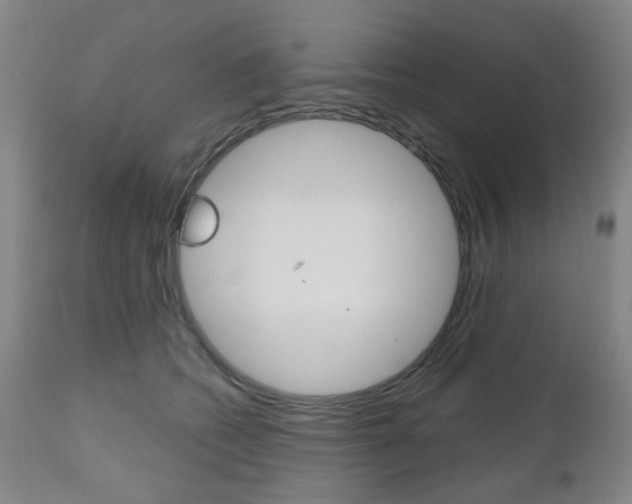 X0000111050562200906251122
