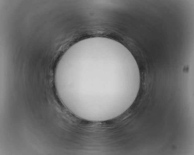 X0000111050563200906251122