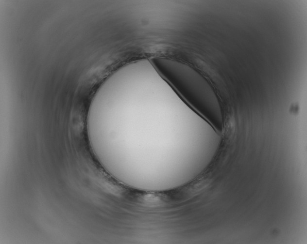 X0000111050566200906251122