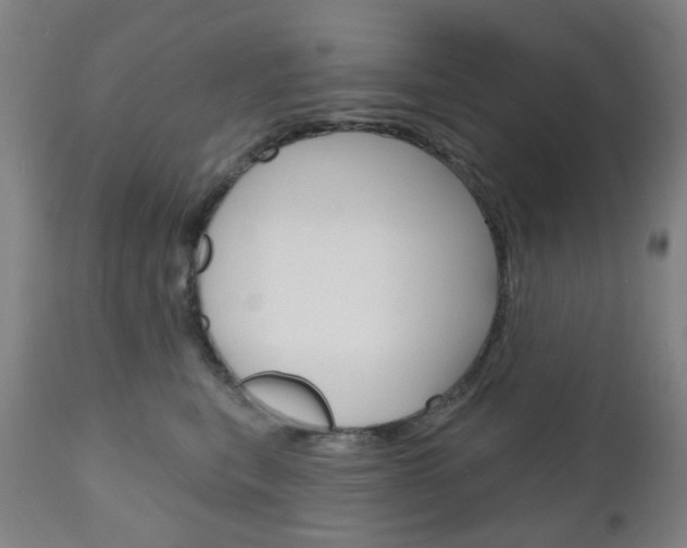 X0000111050567200906251122