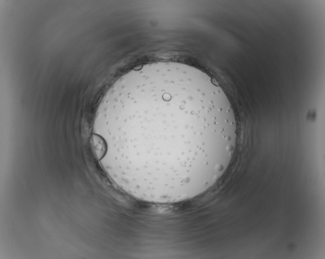 X0000111050569200906251123